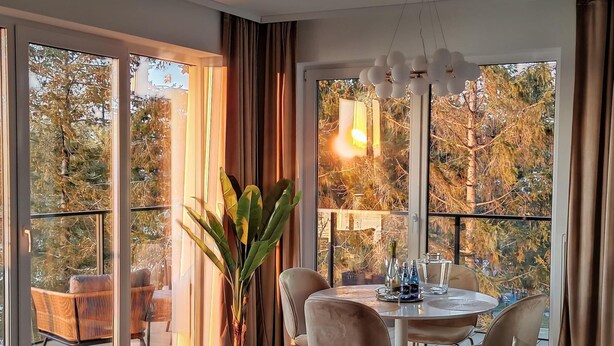 Un espace repas moderne avec une table ronde, des chaises et une plante en pot.