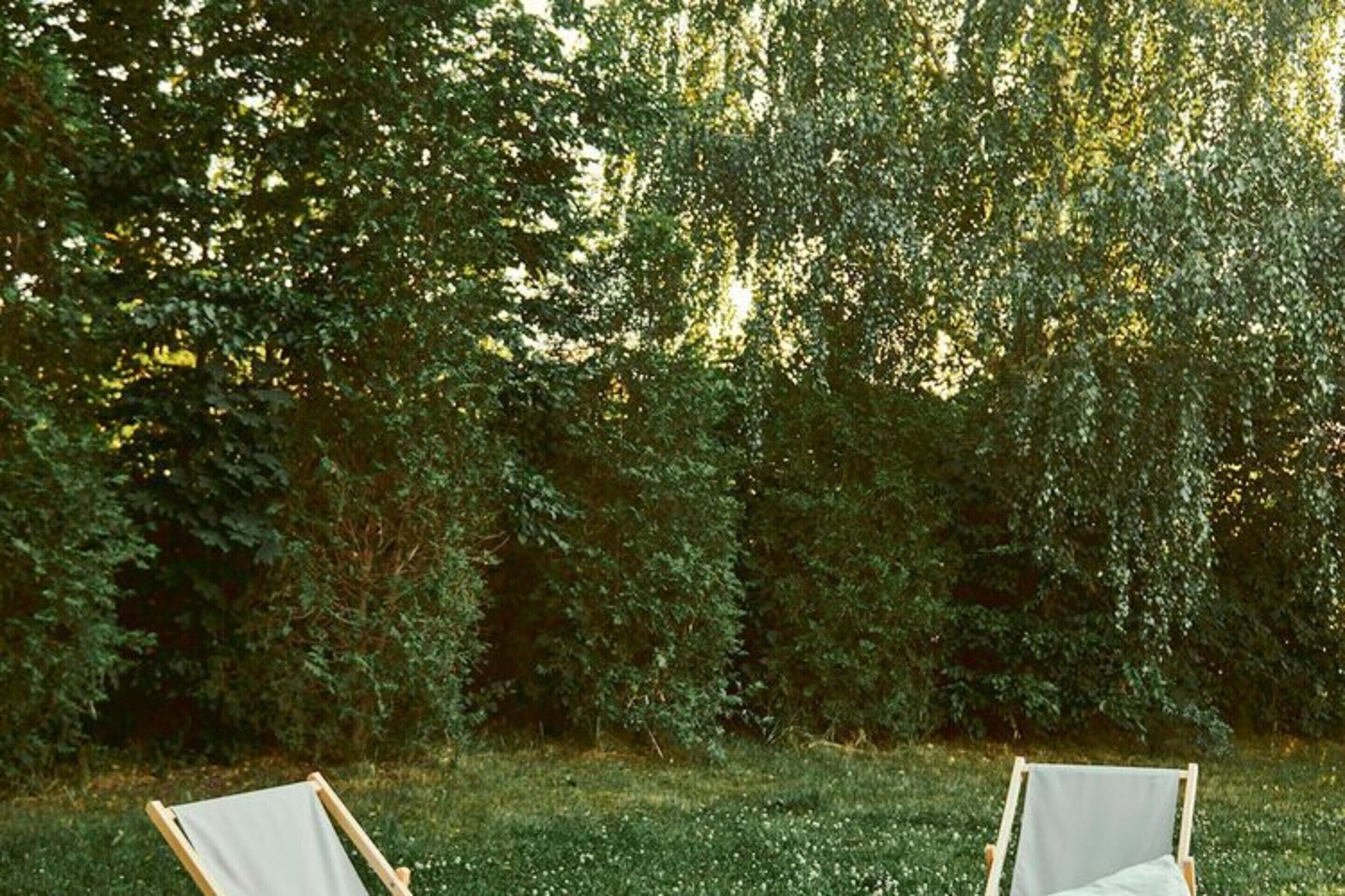 Deux chaises longues en bois, placées face à face, avec une haie verte et touffue en arrière-plan.