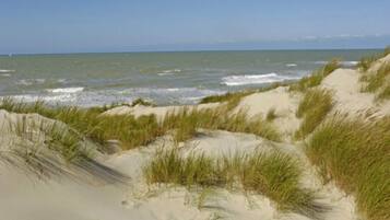 อพาร์ทเมนท์ | วิวจากที่พัก