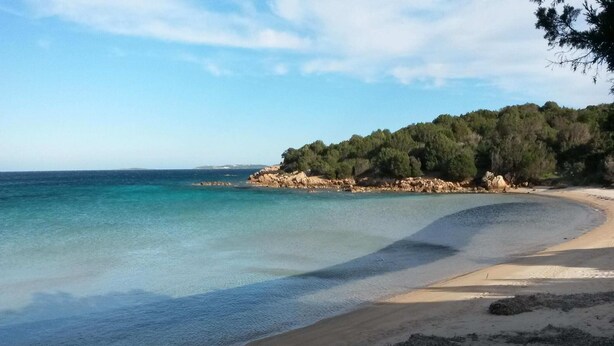 Apartment | View from property - Apartment in Cannigione (Arzachena)
