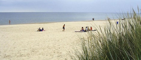 Casa | Vista desde la propiedad