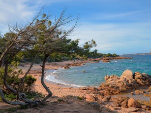 Apartament | Vista des de l'allotjament