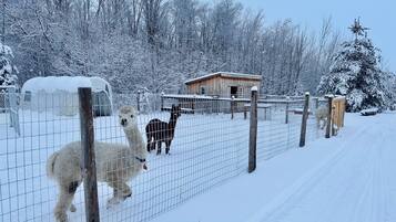 Enceinte de lâhĂ©bergement