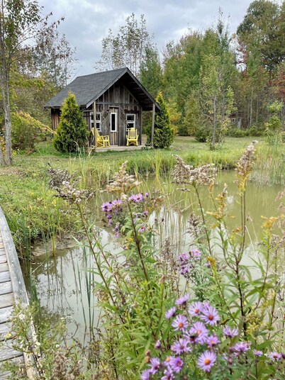 1. Cozy Tiny Cabin on The Farm