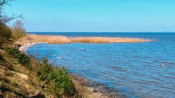 Ferienhaus | Blick von der Unterkunft