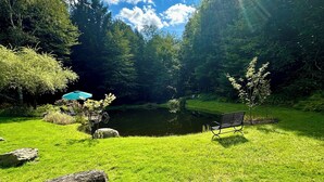 En rolig park med en sø, bænke og et lille træ.