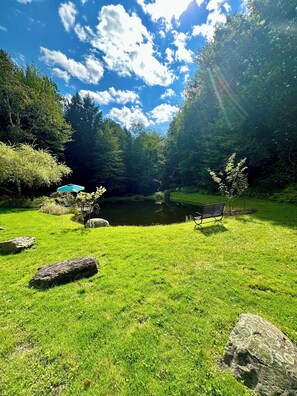 Área da propriedade