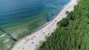Vista aérea de uma praia com uma extensa faixa de areia, um píer que se estende para o mar, e vegetação densa à direita.