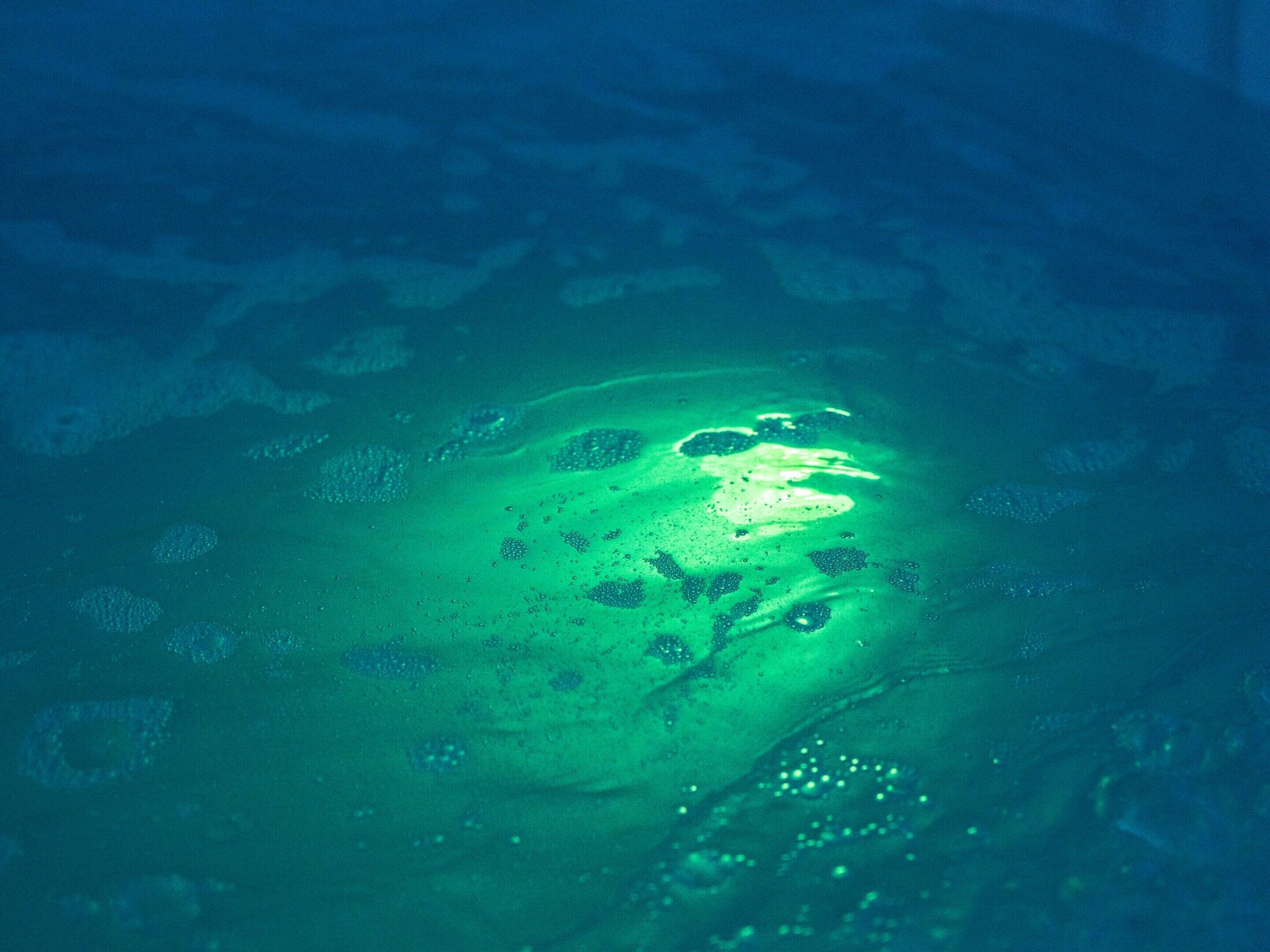 A pool with a greenish hue and bubbles on the surface.