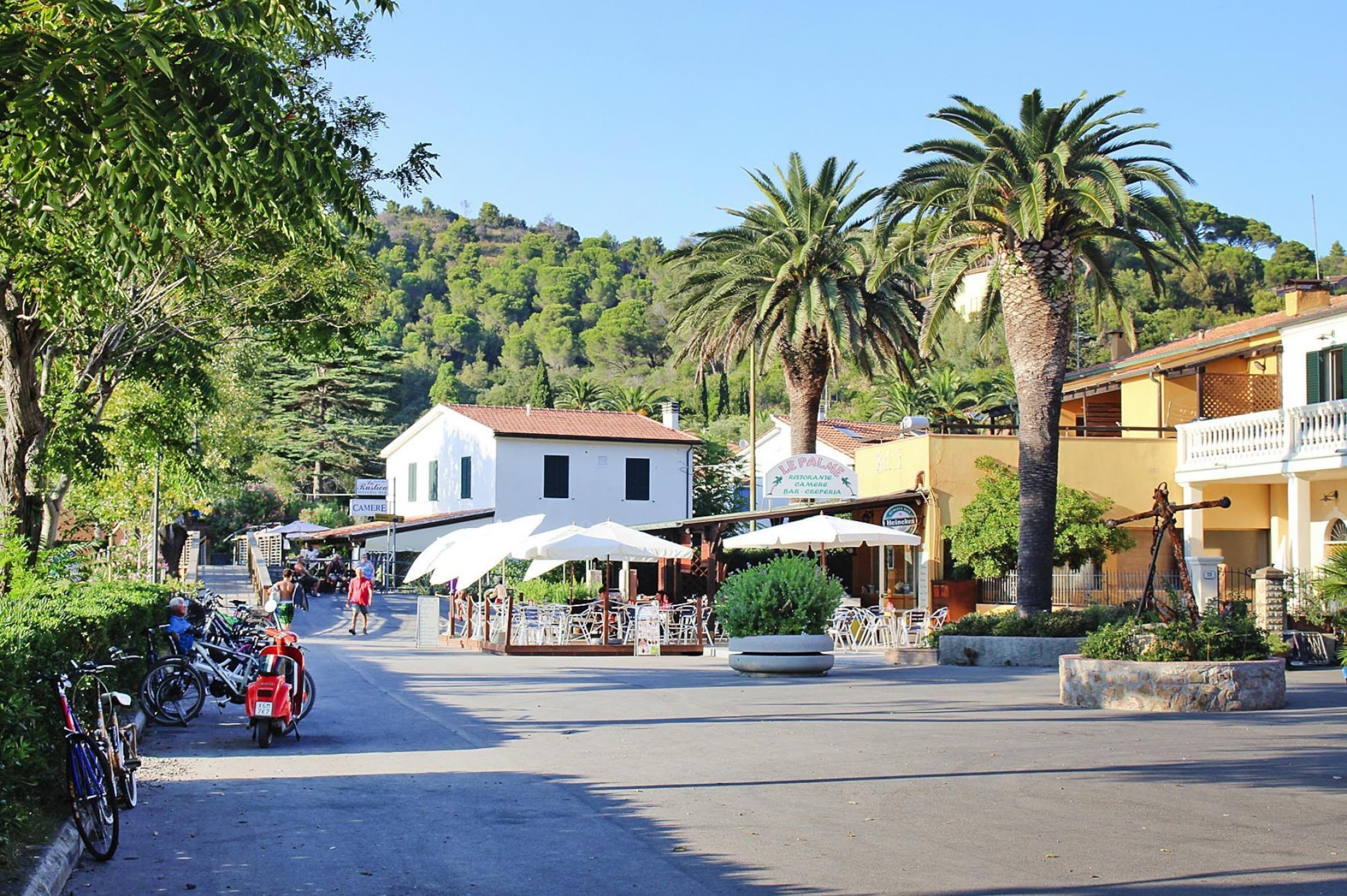 Un carrer amb terrasses a l'aire lliure, bicicletes i palmeres.