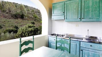 Apartment | 1 bedroom, individually furnished