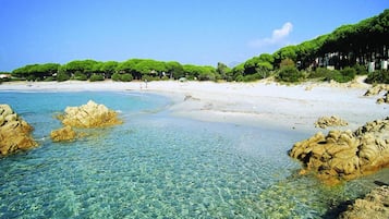 Apartment | View from property