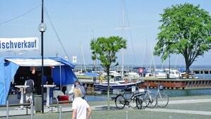 A waterfront area with a tented food stall, bicycles, and a dog walking on the sidewalk. - Ferienwohnung, Ribnitz-damgarten (Ribnitz-Damgarten)