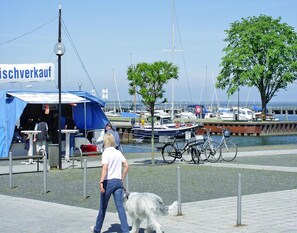 Apartment | View from property - Ferienwohnung, Ribnitz-damgarten (Ribnitz-Damgarten)