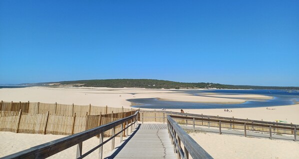 بالقرب من الشاطئ