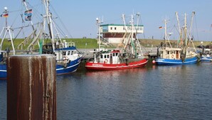 Un port où sont amarrés plusieurs bateaux de pêche, un bâtiment doté d’un toit végétalisé et, au loin, une colline couverte d’herbe.