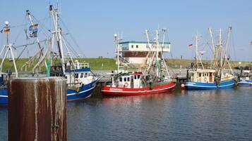 House | View from property