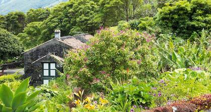 Holiday Homes Adegas do Pico in Prainha de Baixo, Pico, Azores-ex TUI