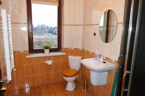 A bathroom with a toilet, sink, and window.
