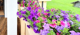 Apartment in Stubai Alps With Supercard