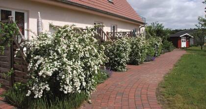 Ferienwohnung in der Mecklenburger Seenplatte