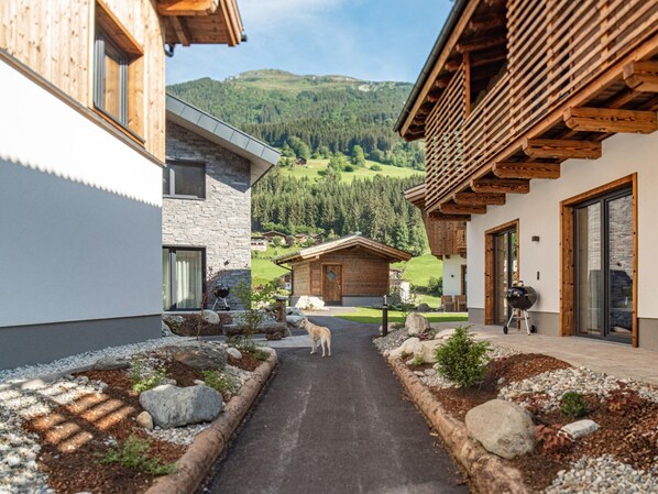 Un sentier mène à un chalet en bois dont la façade est en pierre, entouré d’un jardin agrémenté de rochers et de plantes.