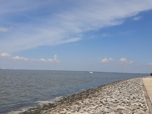 Vue depuis l’hébergement