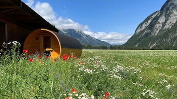 Ferienhaus | Blick von der Unterkunft