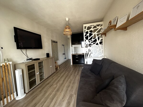 Fernseher
