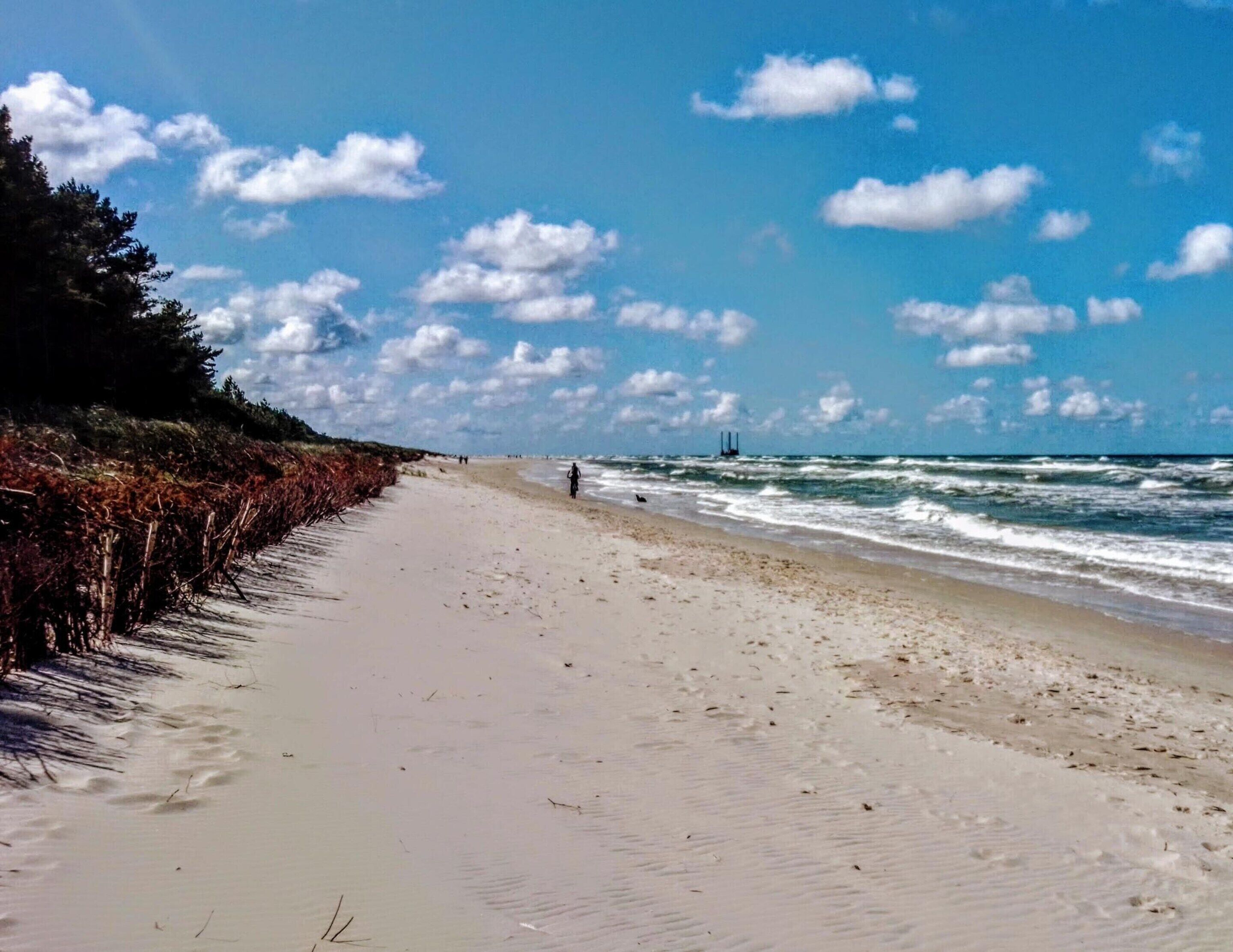 House | View from property