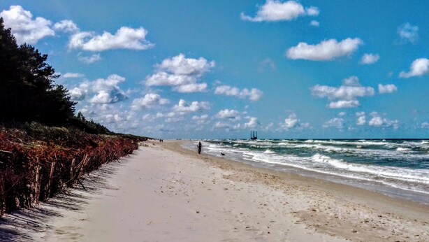 Une plage avec un rivage sablonneux et une rangée de végétation sur la gauche.