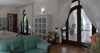 Villa in Casalini With Pool & Olive Garden