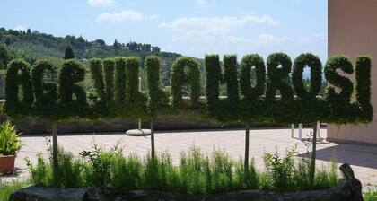 Villa in Tuscany Near Vinci Museum