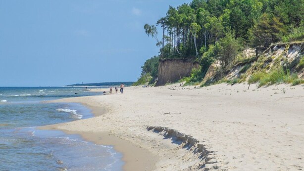 Ein Sandstrand mit bewaldeter Klippe und blauem Himmel.