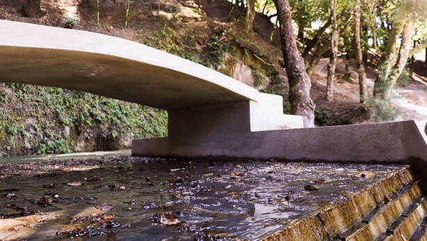 A concrete bridge over a water feature with steps leading down to the water.