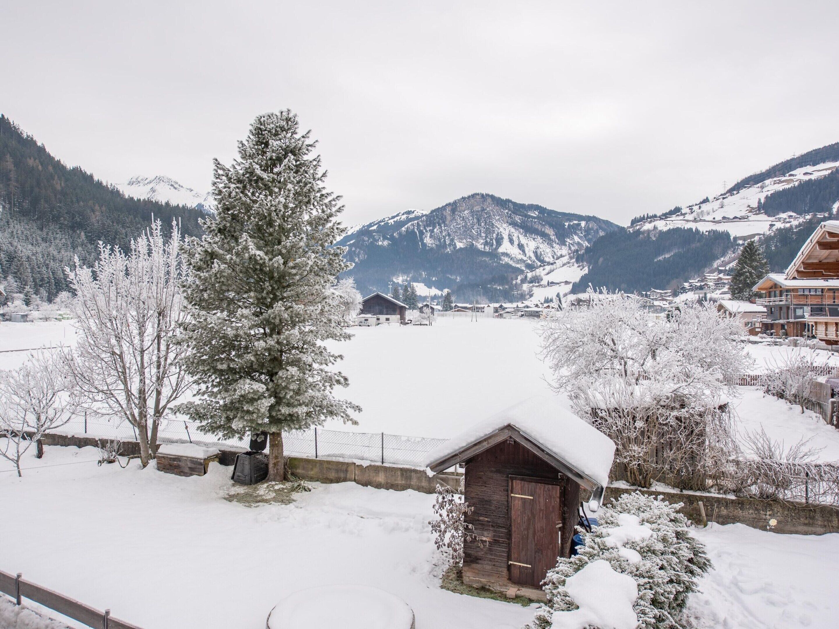 Een besneeuwd berglandschap met een houten chalet en een grote dennenboom op de voorgrond.
