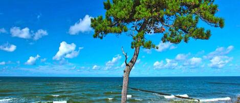 獨棟房屋 | 住宿景觀