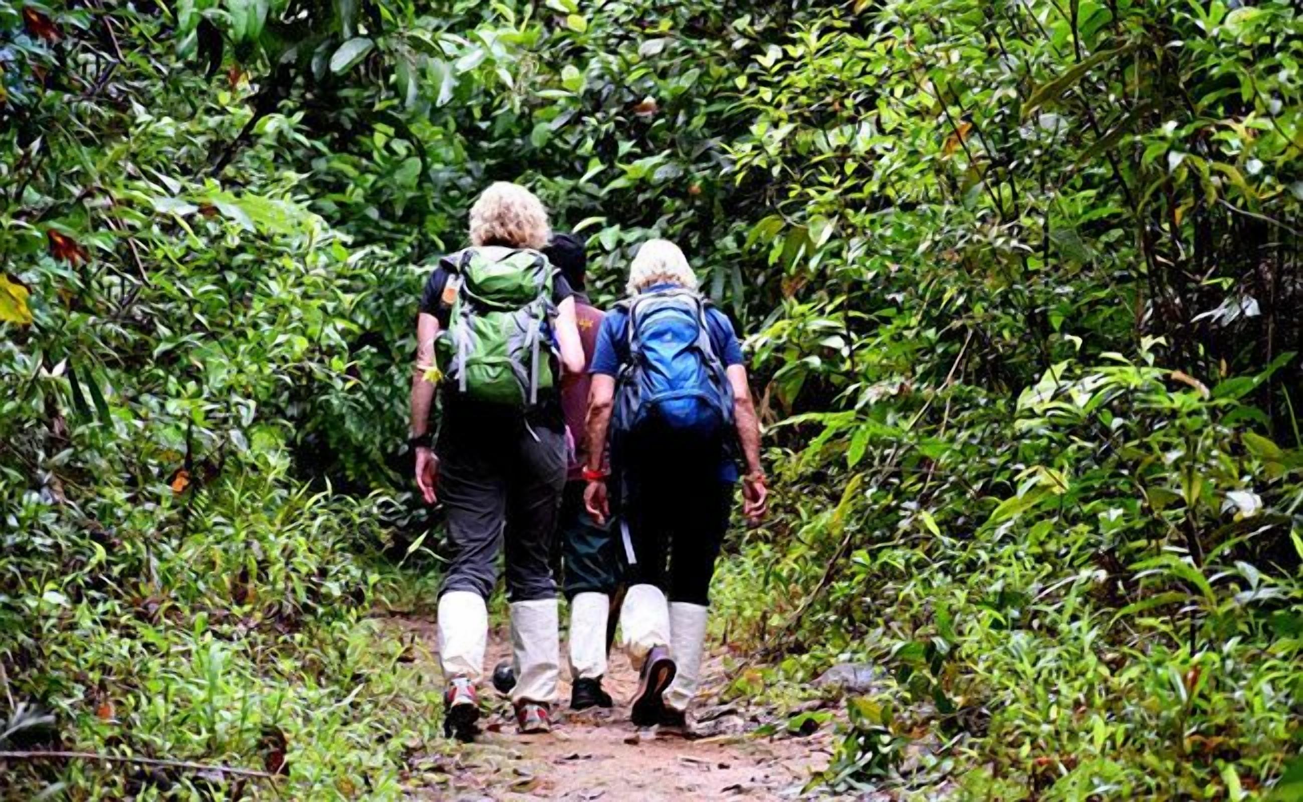 Twee wandelaars lopen over een smal pad, omringd door dichte begroeiing.