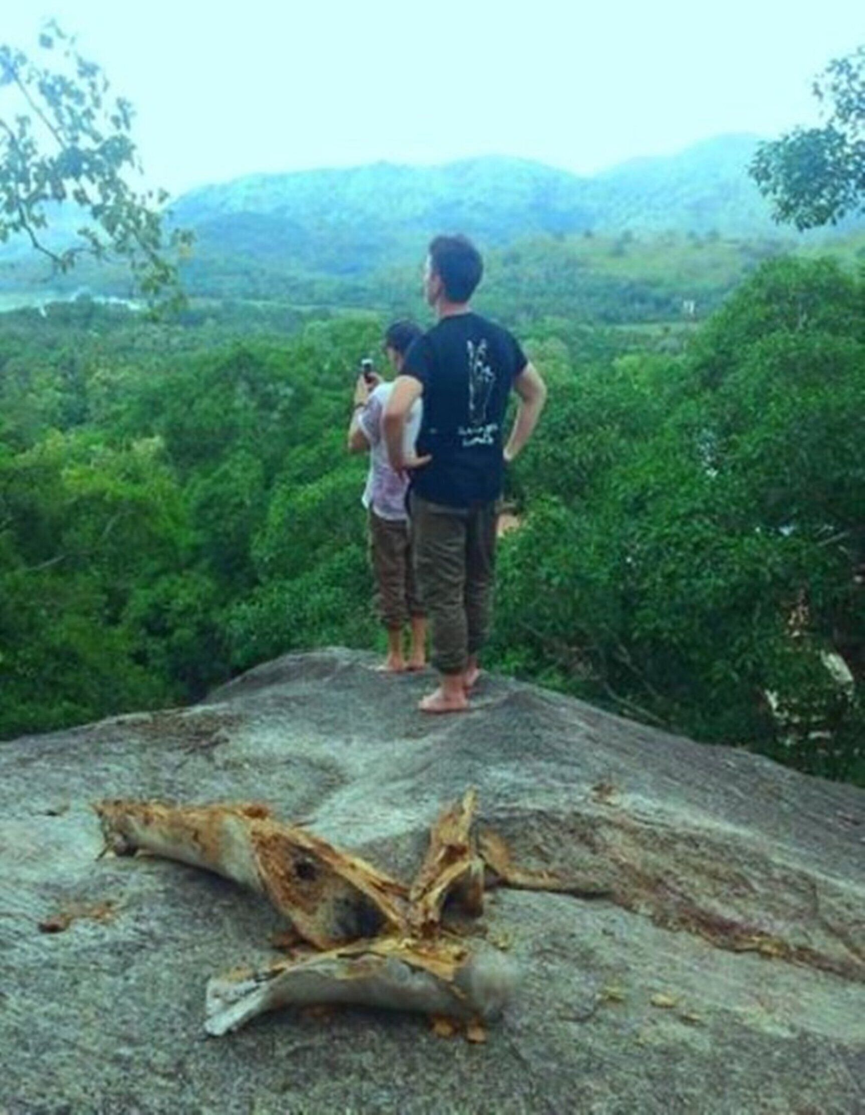 A group of people standing on a rock with a forested landscape in the background.