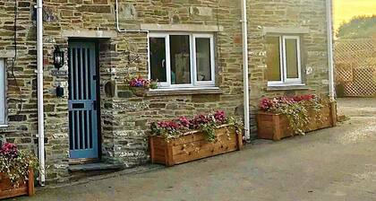 Oaktree Cottage, Cardigan
