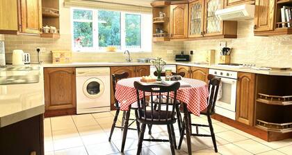 Buttercup Cottage, Cardigan
