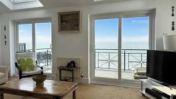 TV, fireplace, books