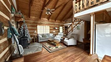 Télévision, cheminée, jeux vidéo, lecteur de DVD