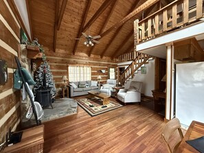 TV, peis, videospill og DVD-spiller