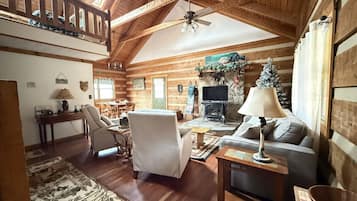 TV, fireplace, video games, DVD player