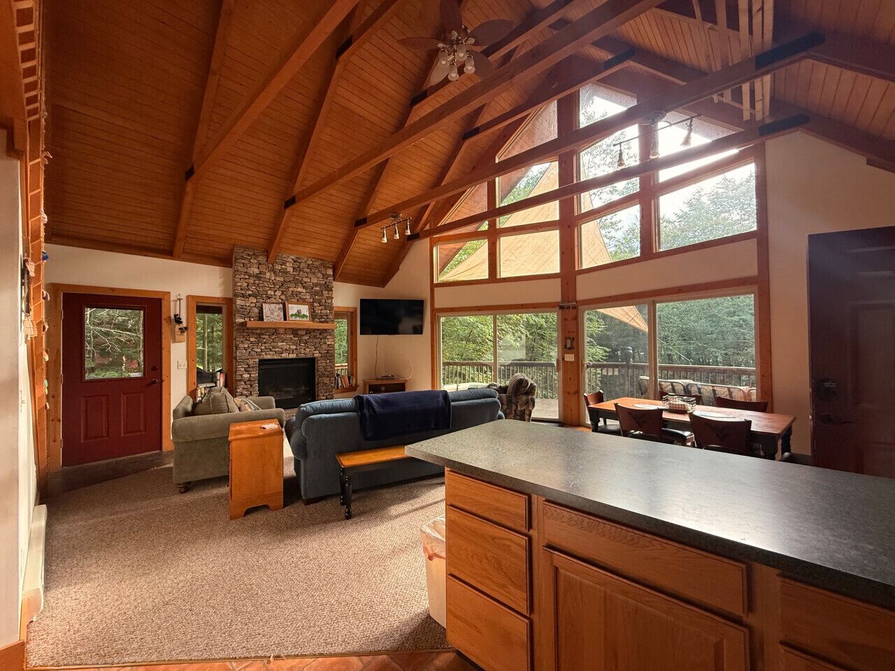 Televisor intel·ligent, llar de foc i llibres 