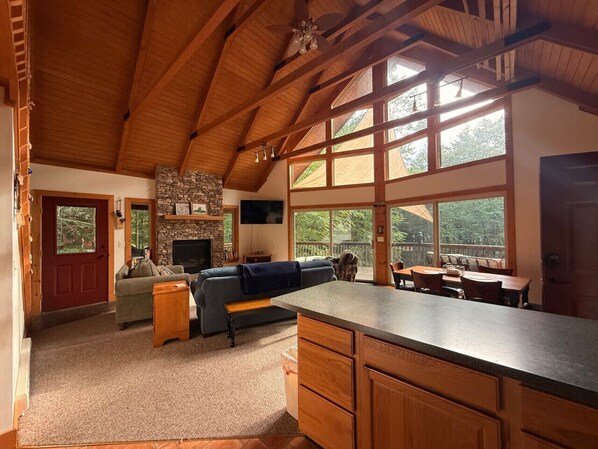 Smart TV, fireplace, books