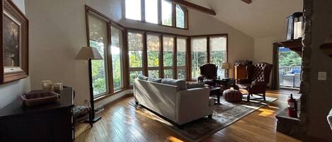 Smart TV, fireplace, books