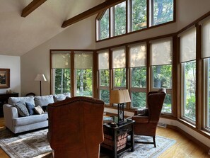 Smart TV, fireplace, books