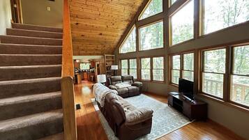 Smart TV, lareira, livros